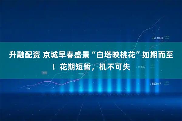 升融配资 京城早春盛景“白塔映桃花”如期而至！花期短暂，机不可失