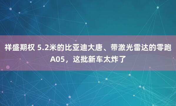 祥盛期权 5.2米的比亚迪大唐、带激光雷达的零跑A05，这批新车太炸了