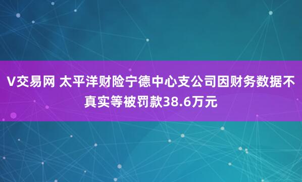 V交易网 太平洋财险宁德中心支公司因财务数据不真实等被罚款38.6万元